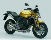 2007 Honda CB600F Hornet photo